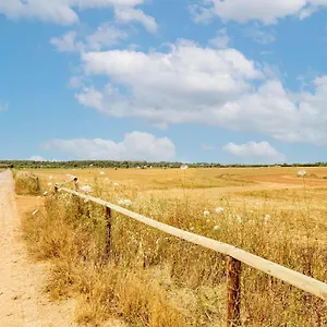 Сasa de vacaciones Possessio Sa Barrala Gallinero 
